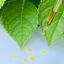 Load image into Gallery viewer, ReVita C Antioxidant &amp; Vitamin C Serum